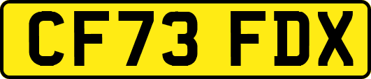 CF73FDX