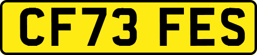 CF73FES