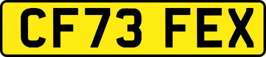 CF73FEX