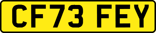 CF73FEY