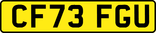 CF73FGU