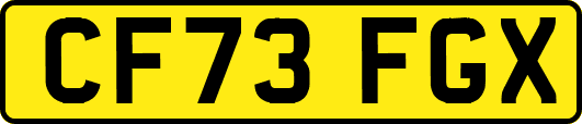 CF73FGX