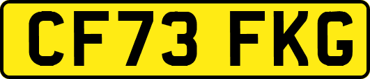 CF73FKG
