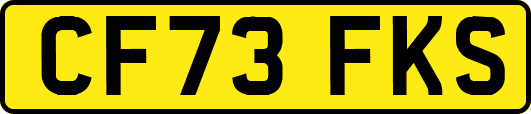 CF73FKS