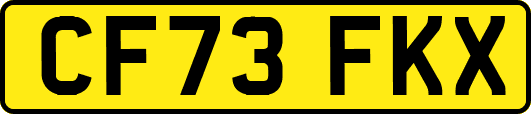 CF73FKX