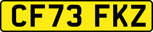 CF73FKZ