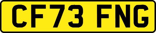 CF73FNG