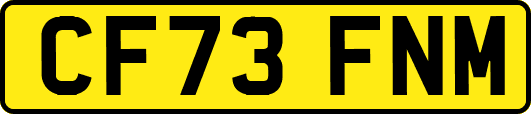 CF73FNM