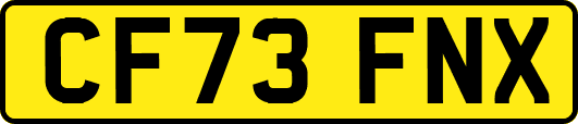 CF73FNX