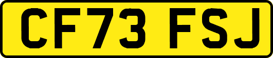 CF73FSJ