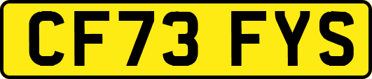 CF73FYS