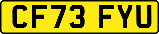 CF73FYU