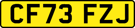 CF73FZJ