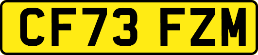 CF73FZM