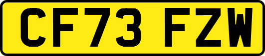 CF73FZW