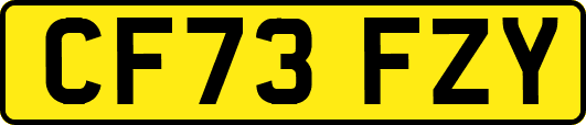 CF73FZY