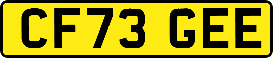 CF73GEE