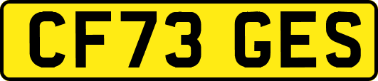 CF73GES