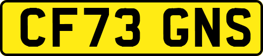 CF73GNS