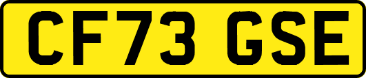 CF73GSE