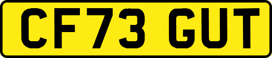 CF73GUT