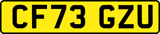 CF73GZU