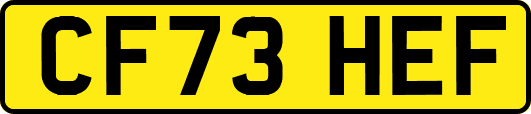 CF73HEF