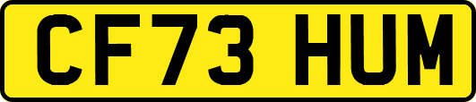 CF73HUM