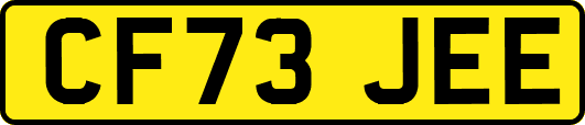 CF73JEE
