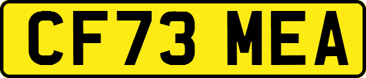 CF73MEA