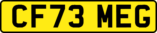 CF73MEG