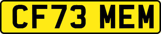 CF73MEM