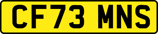 CF73MNS