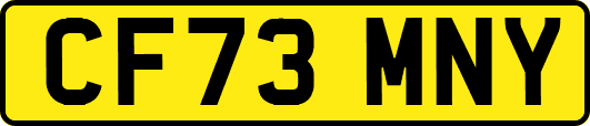 CF73MNY