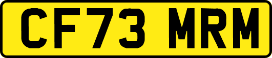 CF73MRM