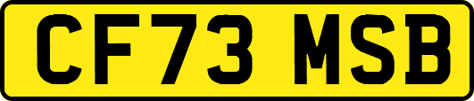 CF73MSB