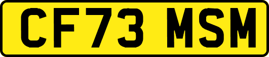 CF73MSM