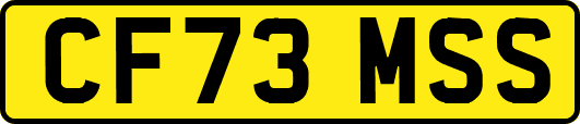 CF73MSS