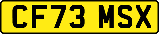 CF73MSX