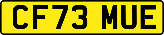 CF73MUE