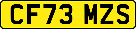 CF73MZS
