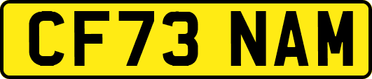 CF73NAM