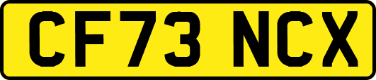 CF73NCX
