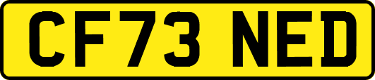 CF73NED