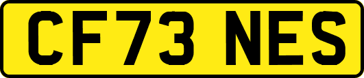 CF73NES