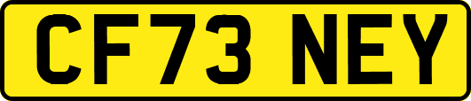 CF73NEY