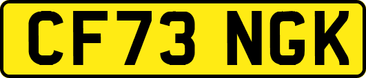 CF73NGK