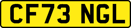 CF73NGL