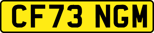 CF73NGM