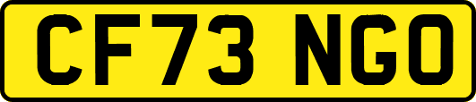 CF73NGO